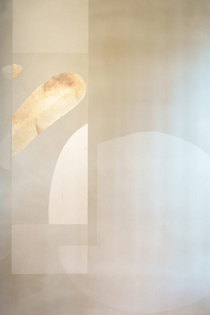 2月のプログラム